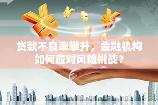 掇刀贷款不良率攀升，金融机构如何应对风险挑战？