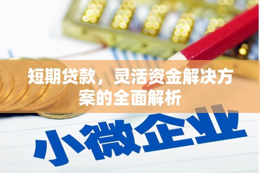 内湖短期贷款，灵活资金解决方案的全面解析