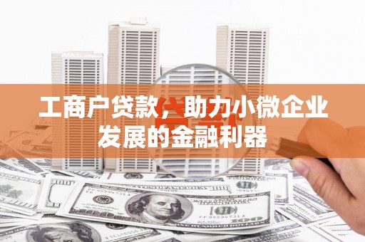 五指山工商户贷款，助力小微企业发展的金融利器