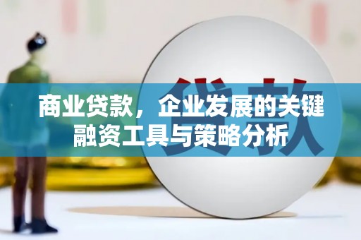 曲靖商业贷款，企业发展的关键融资工具与策略分析