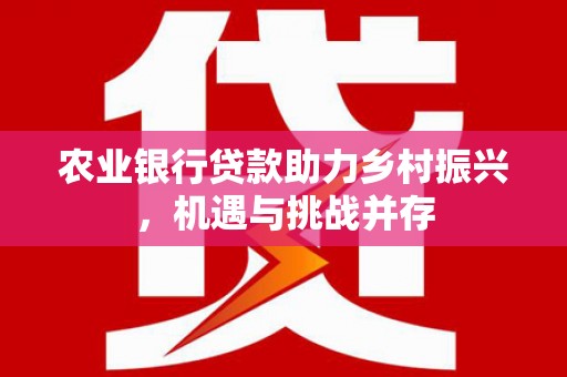 金阳农业银行贷款助力乡村振兴，机遇与挑战并存