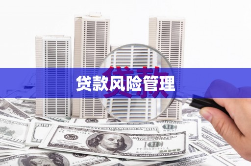 禄劝贷款风险管理