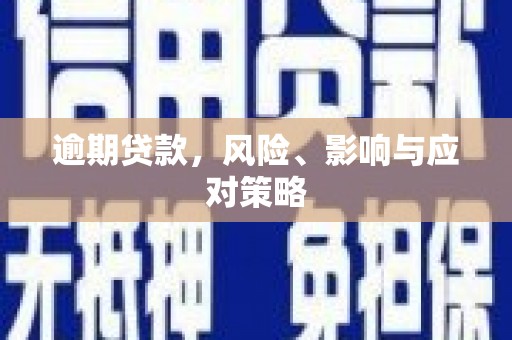 田尾逾期贷款，风险、影响与应对策略