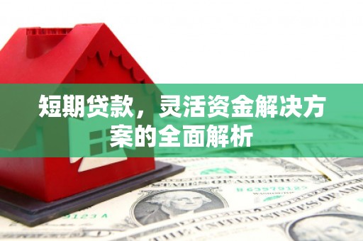 和政短期贷款，灵活资金解决方案的全面解析