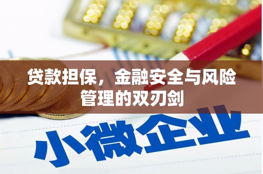 陇县贷款担保，金融安全与风险管理的双刃剑