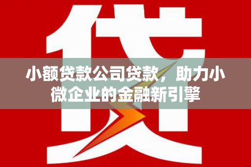 宜州小额贷款公司贷款，助力小微企业的金融新引擎