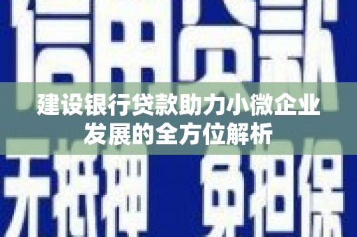 邱县建设银行贷款助力小微企业发展的全方位解析
