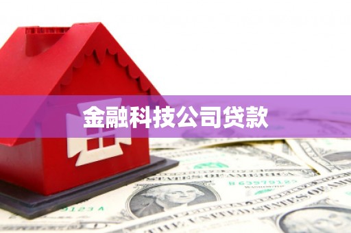 峡江金融科技公司贷款
