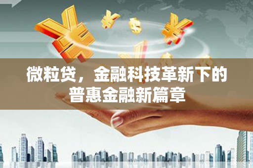 新华微粒贷，金融科技革新下的普惠金融新篇章