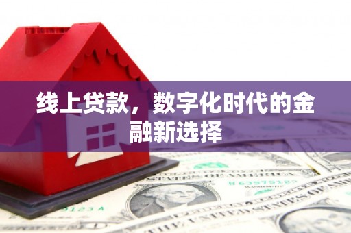 芦淞线上贷款，数字化时代的金融新选择