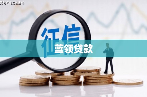 紫云蓝领贷款