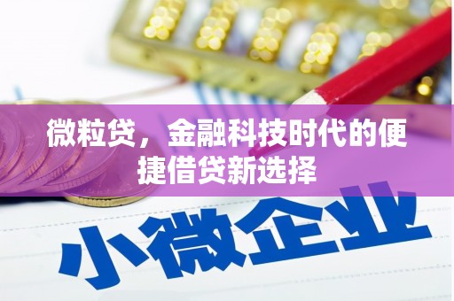 拉萨微粒贷，金融科技时代的便捷借贷新选择
