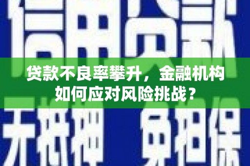涧西贷款不良率攀升，金融机构如何应对风险挑战？