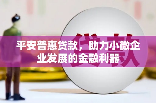 儋州平安普惠贷款，助力小微企业发展的金融利器