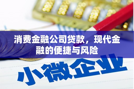 陆川消费金融公司贷款，现代金融的便捷与风险