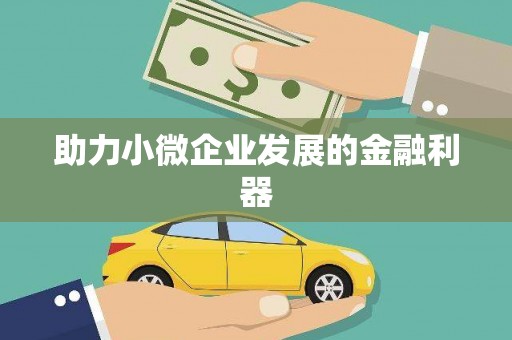 麻山助力小微企业发展的金融利器
