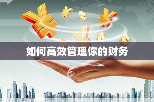 埔心如何高效管理你的财务