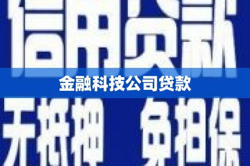 东阿金融科技公司贷款