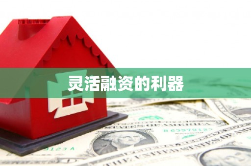 友谊灵活融资的利器