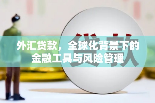 埔心外汇贷款，全球化背景下的金融工具与风险管理